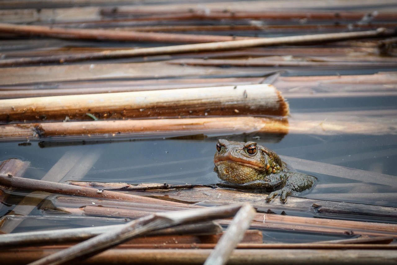 entdecken sie inspirierende life goals und erfahren sie, wie sie ihre persönlichen ziele setzen und erreichen können. tipps, motivation und strategien für ein erfülltes leben.