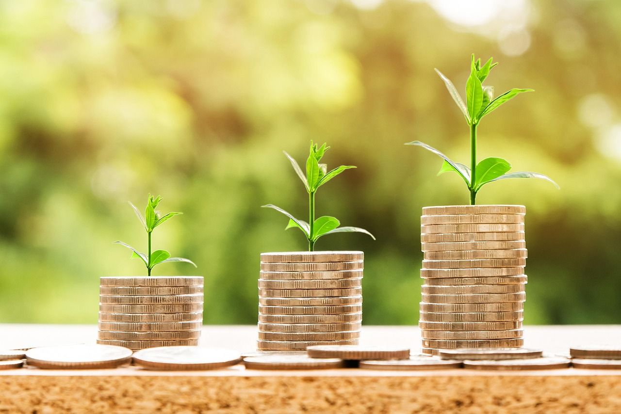entdecken sie die besten investmentmöglichkeiten und wertvolle tipps, wie sie ihr geld sicher und gewinnbringend anlegen können. erfahren sie alles rund um aktien, fonds, immobilien und mehr.