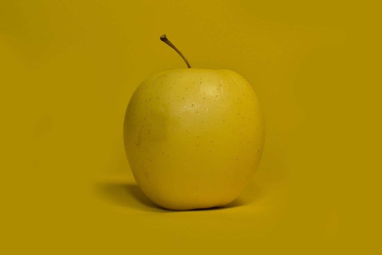 entdecken sie die wichtigsten nährstoffe für ihre gesundheit! erfahren sie, wie sie ihren körper unterstützen, ihre energie steigern und ihr wohlbefinden verbessern können.