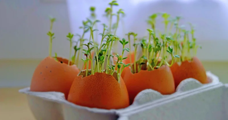 Warum Ostern auf Griechisch nicht Χρόνια Πολλά ist
