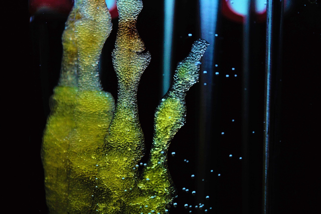 bioprinting ist eine innovative technologie, die das drucken von lebendem gewebe und organen erm&ouml;glicht. erfahren sie mehr &uuml;ber verfahren, anwendungen und zukunftsperspektiven im bereich der bioprinting.